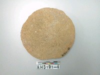 藏品(陶蓋)的圖片